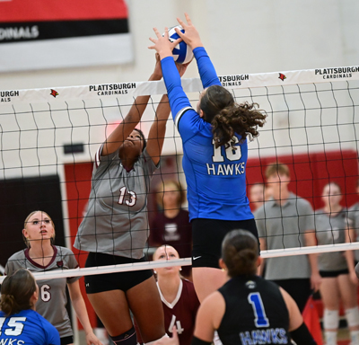 block at the net block at the net