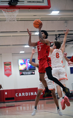 takes flight takes flight