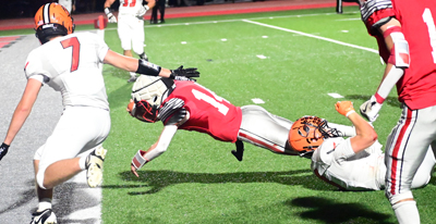diving for the score diving for the score