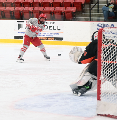 shot on net shot on net