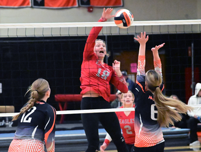 block at the net block at the net